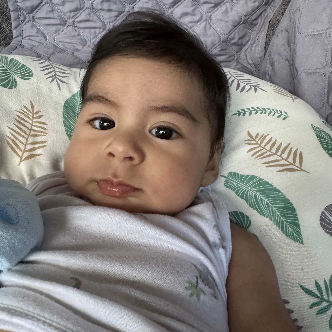 Foto de José Martín Aldaz Pantoja