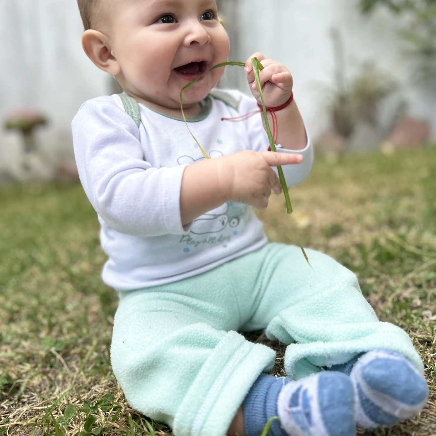 Foto de Luka