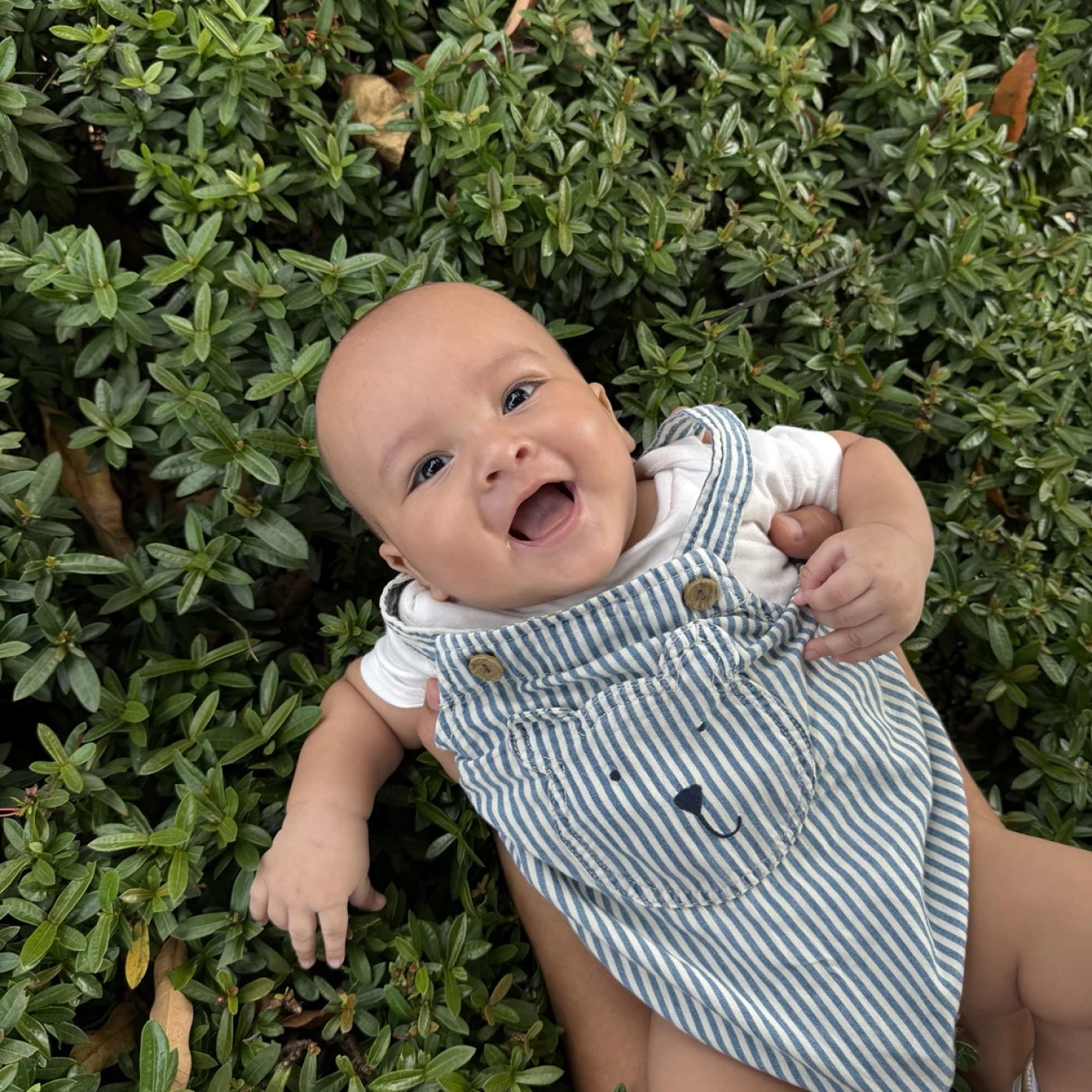 Foto de Rafael