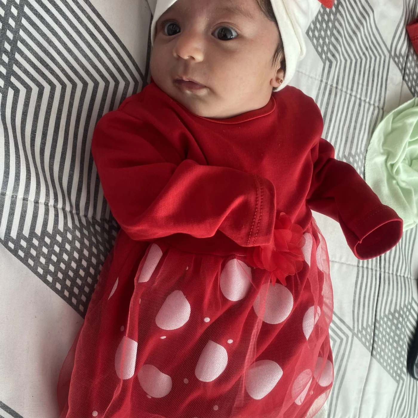 Foto de Cattleya Annelisse