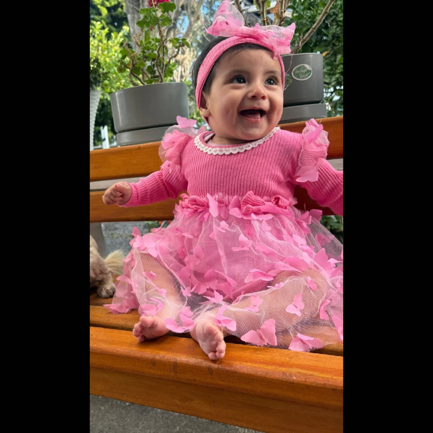 Foto de Lucia Aurora