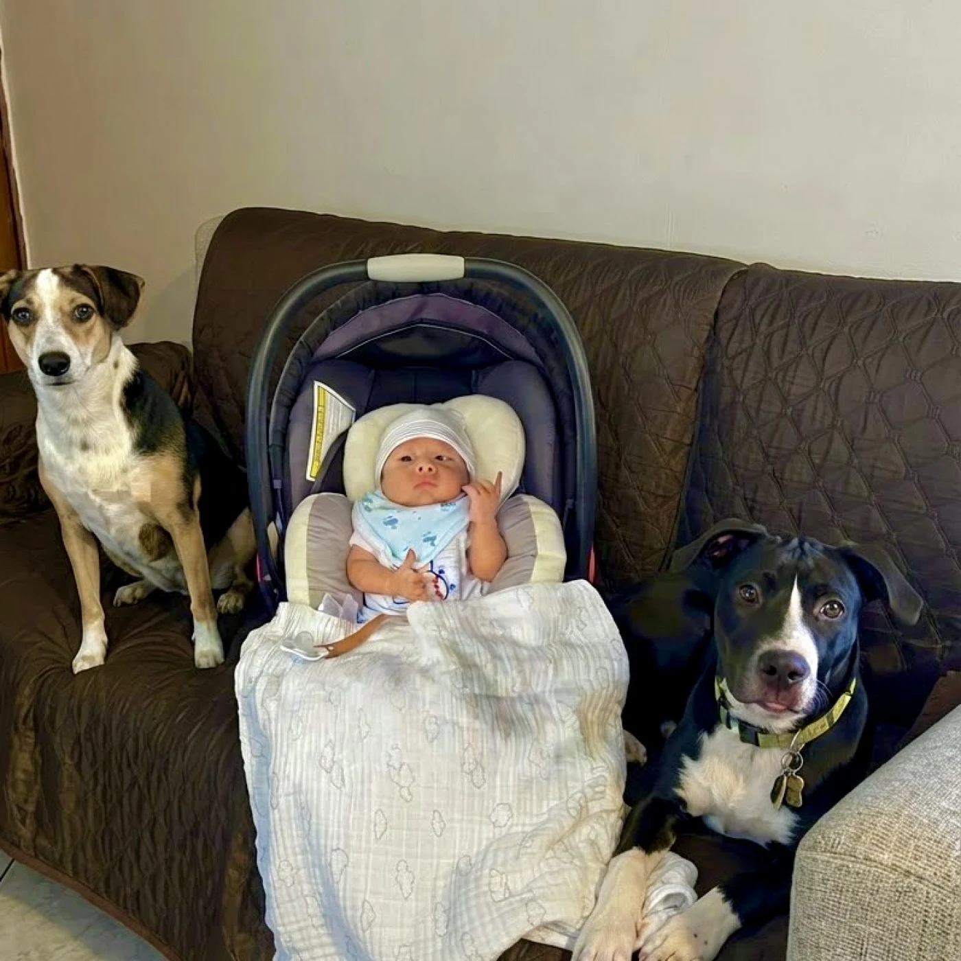 Foto de Enzo Ismael