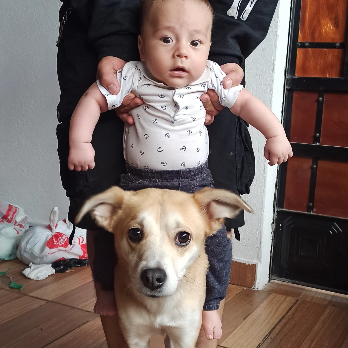 Foto de Dante