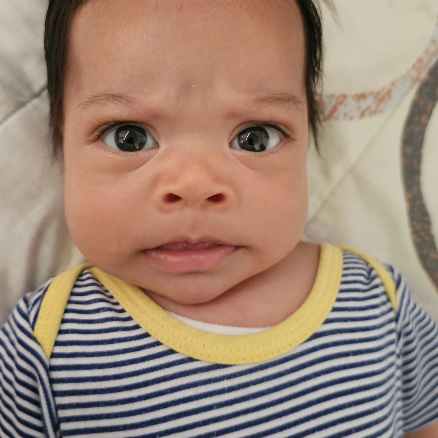 Foto de Eleonor Alegría