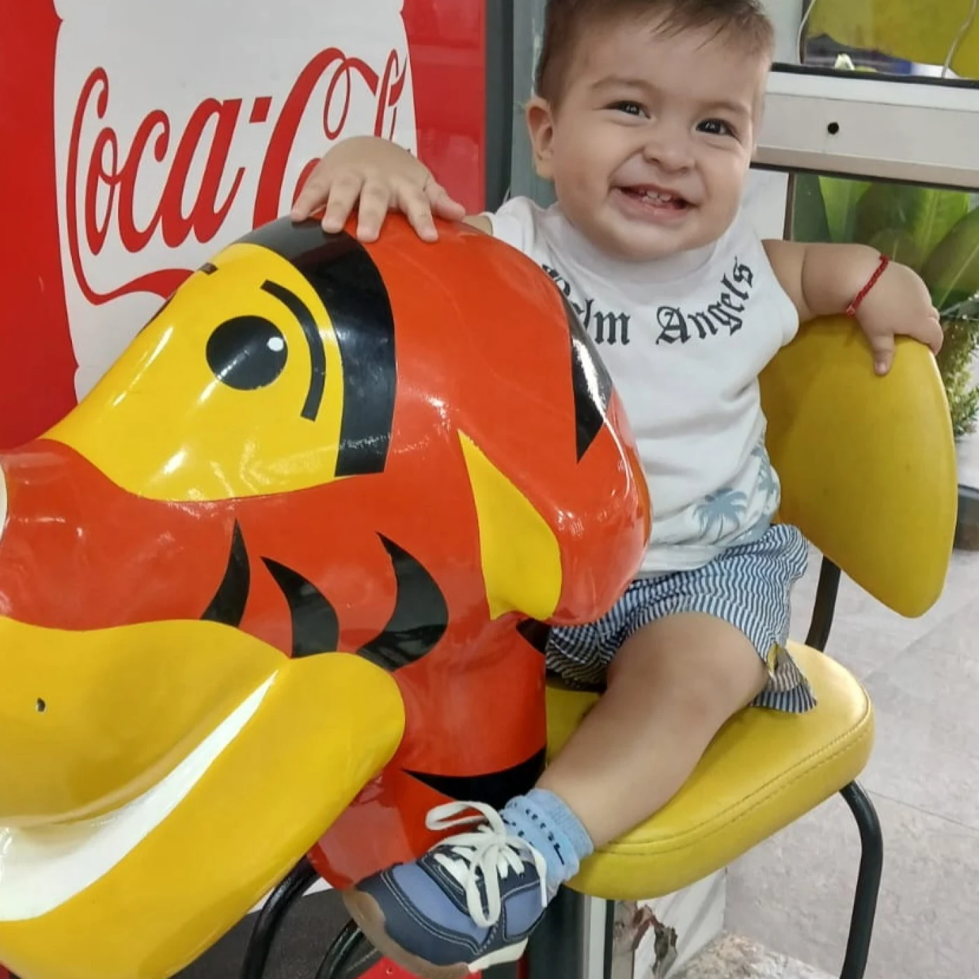 Foto de Alessandro Sebastian Gamboa Mateus