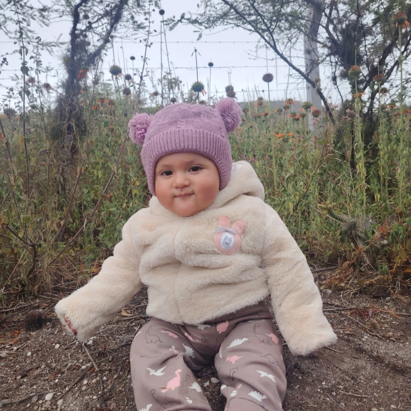 Foto de Amelia