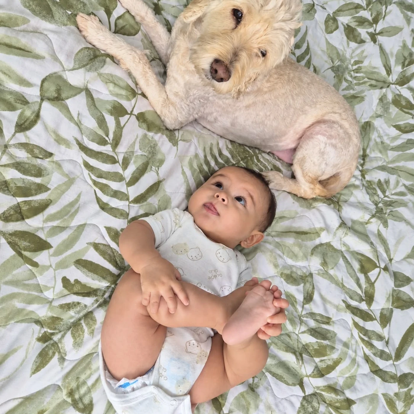Foto de Theo Luciano