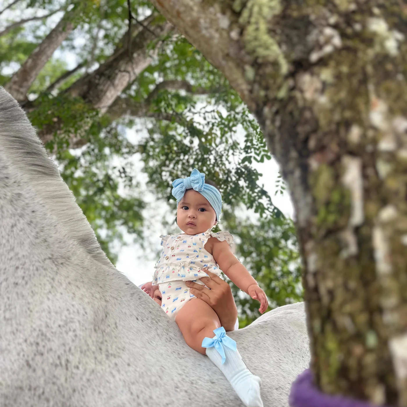 Foto de Adhara