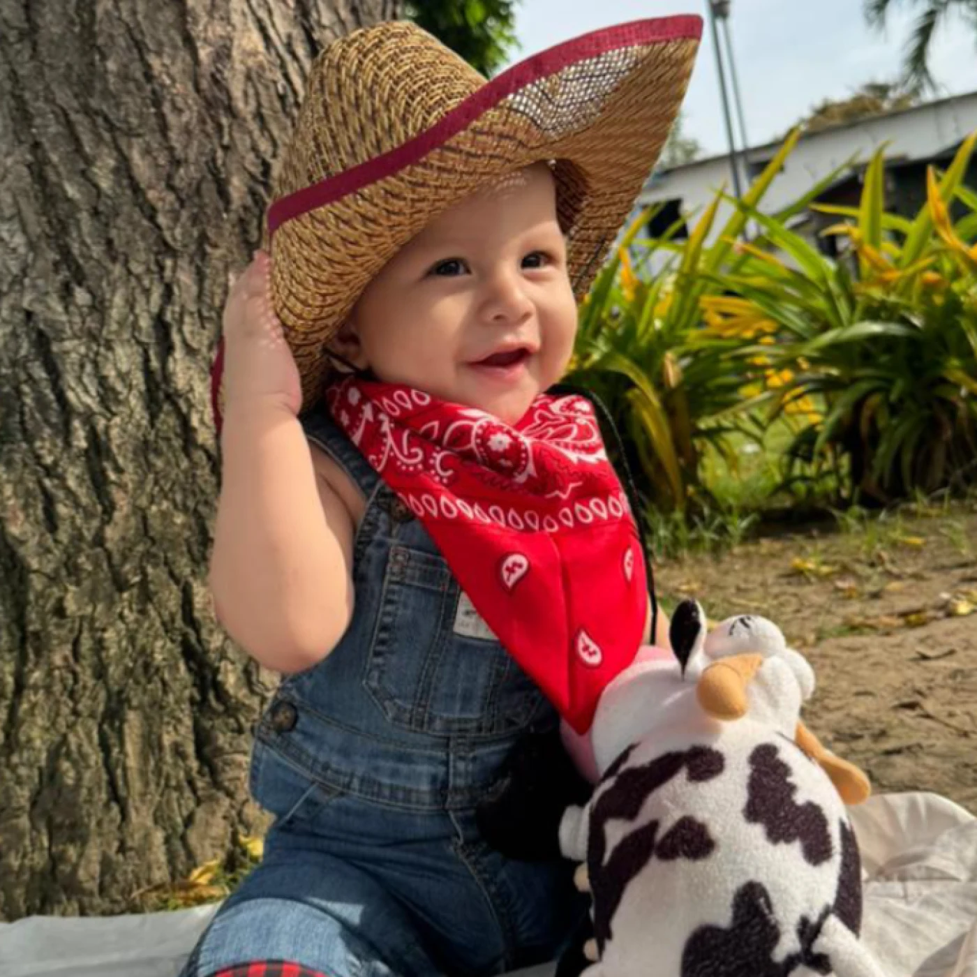 Foto de Liam Kayden Mero Lucas