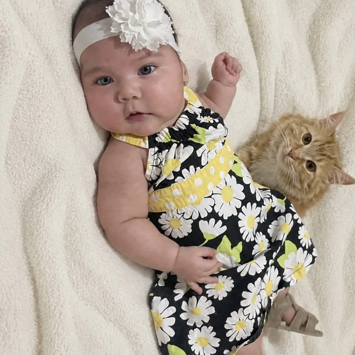 Foto de Amelia Stefania Correa Pinza