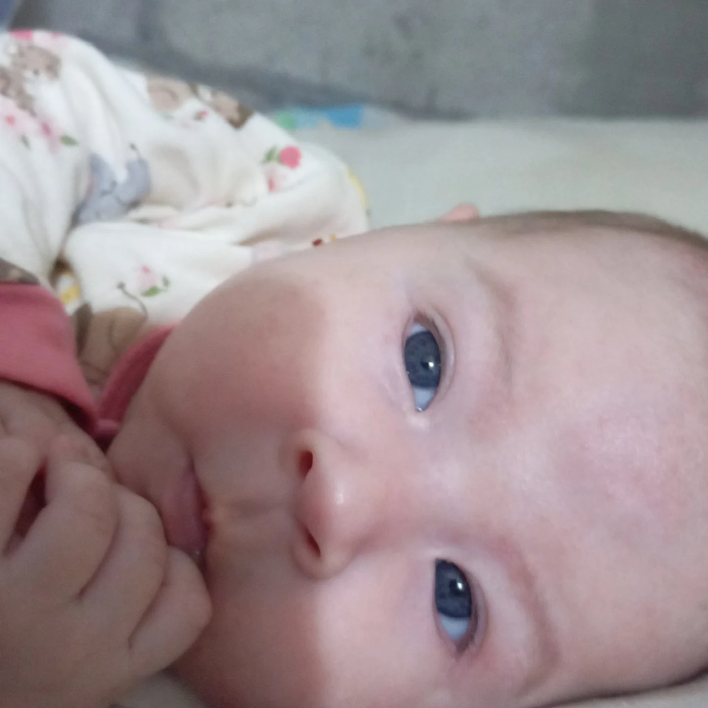 Foto de Hally Rouse Valdez Rivas
