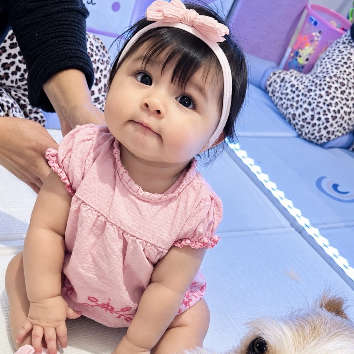 Foto de Noa