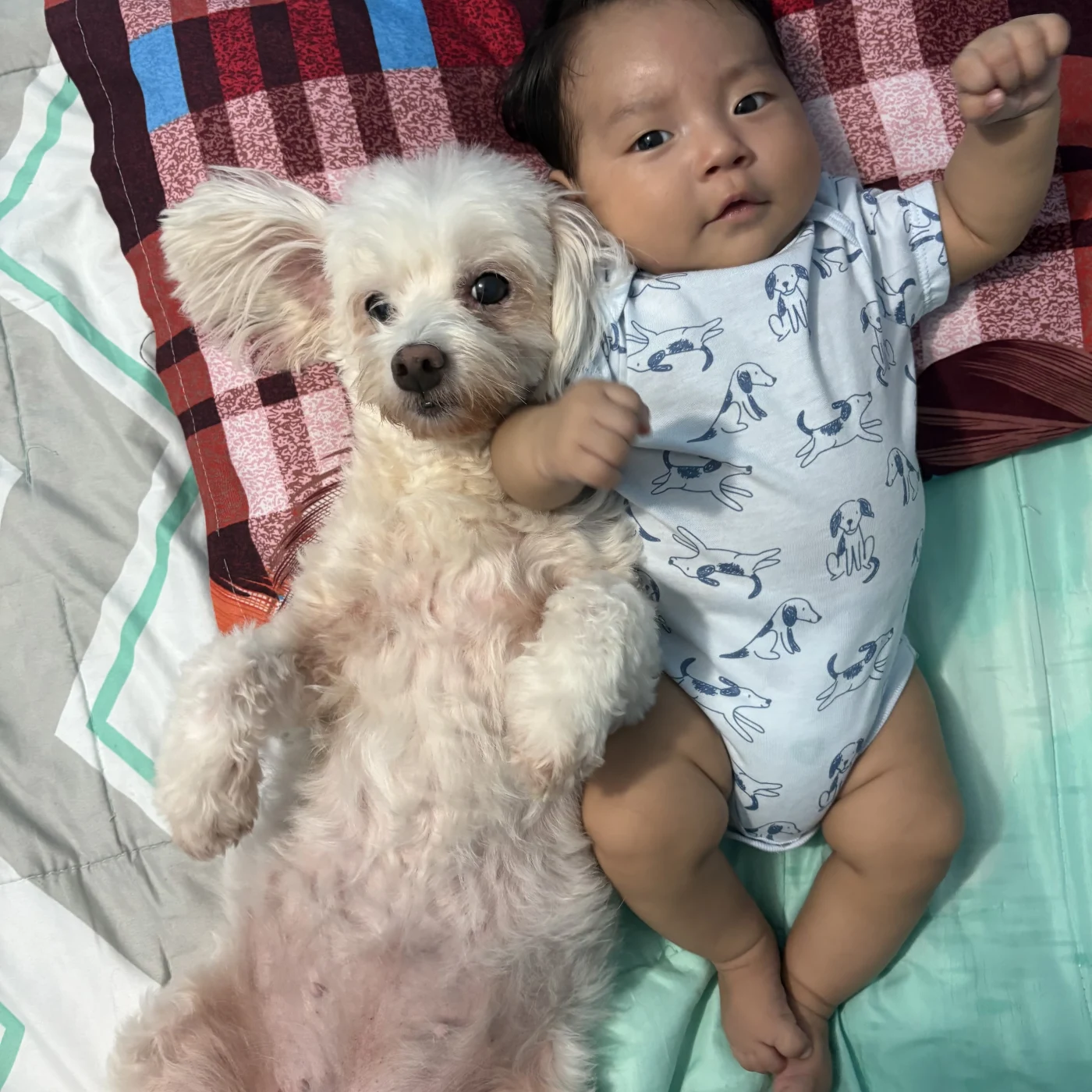 Foto de Ronny Enrique Natanael Jara Valencia
